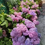 Sejmen 아파트
