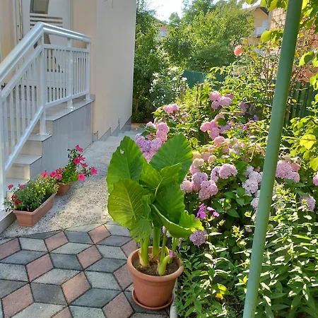 Appartement Sejmen *
